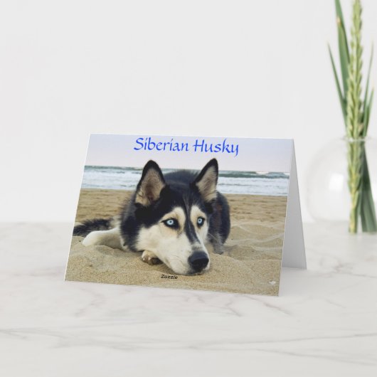 Dank je Siberian Husky voor het Wenskaart van Beac Bedankkaart (Achterkant)