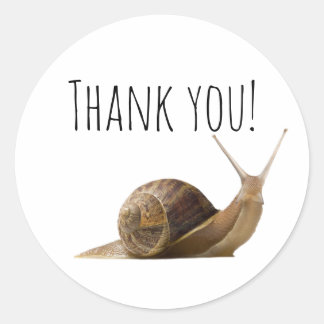 Dank je Snail Ronde Sticker
