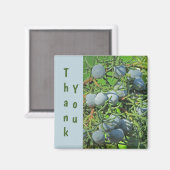 Dank je Spring Pine Berries Foto appreciatie Magneet (Voorkant / Achterkant)