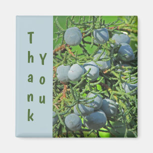 Dank je Spring Pine Berries Foto appreciatie Magneet