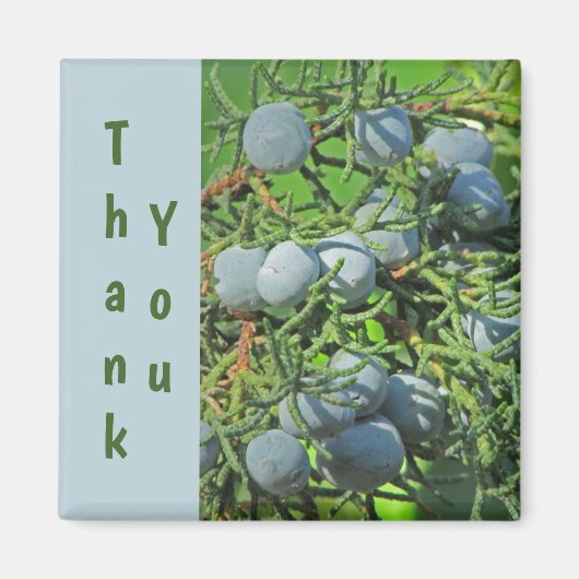 Dank je Spring Pine Berries Foto appreciatie Magneet (Voorkant)
