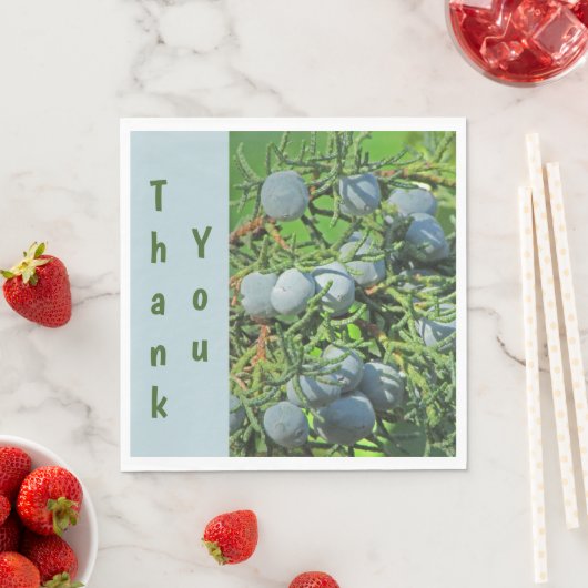 Dank je Spring Pine Berry Foto appreciatie Servet (Insitu)