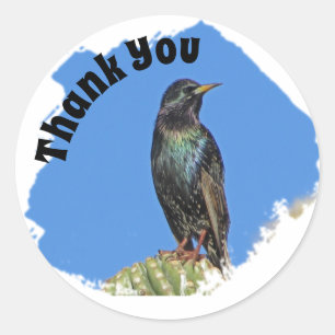 Dank je Starling en Cactus appreciatie Ronde Sticker