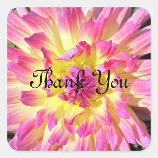 Dank je stickers (Voorkant)