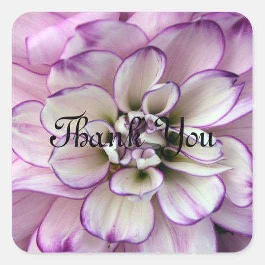 Dank je stickers (Voorkant)