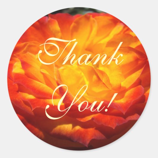 Dank je! stickers Helder oranje roos bloem kunst (Voorkant)