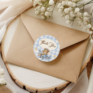 Dank Je Teddybeer Vliegtuig Blauwe Gingham Ronde Sticker