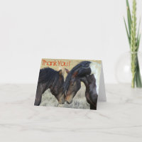 Dank je. Twee bruine wilde paarden snuffelen