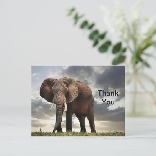 Dank je voor de foto van de wilde olifant briefkaart (Staand voorkant)