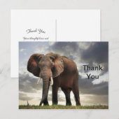 Dank je voor de foto van de wilde olifant briefkaart (Voorkant / Achterkant)