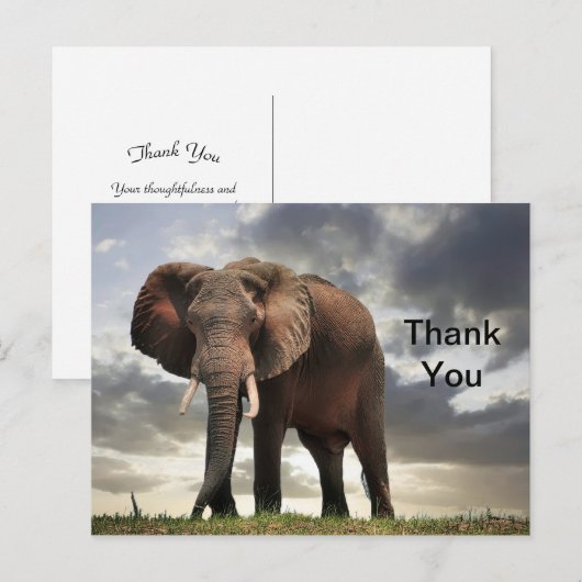 Dank je voor de foto van de wilde olifant briefkaart (Voorkant / Achterkant)