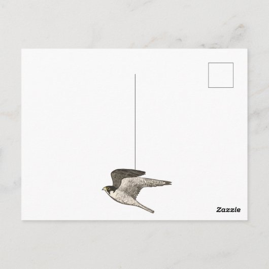 Dank je voor potlood met kleuren van de slechtvalk briefkaart (Achterkant)