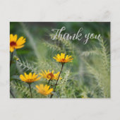 Dank je wel Ansichtkaart of gebruik je eigen tekst Briefkaart (Voorkant)