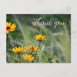 Dank je wel Ansichtkaart of gebruik je eigen tekst Briefkaart