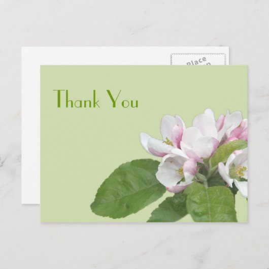 Dank je wel, appelbloemen briefkaart (Voorkant / Achterkant)