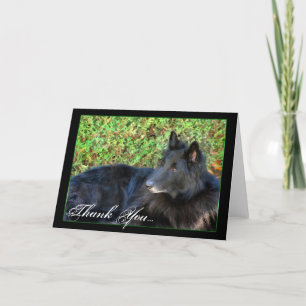 Dank je wel, Belgian Shepherd wenskaart Bedankkaart