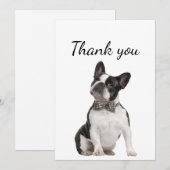 Dank je wel Boston Terrier Dog Pet Animal Bedankkaart (Voorkant / Achterkant)