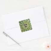 Dank Je Wel Cactus Appreciatie Cactus Vierkante Sticker (Envelop)