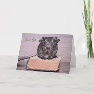 Dank je wel cavia zat op een boek bedankkaart