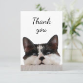 Dank je wel dat Cute Kitten je naar je opzoekt Bedankkaart (Staand voorkant)