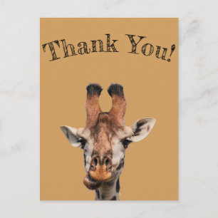 dank je wel , foto van grappige giraffe , minimali briefkaart