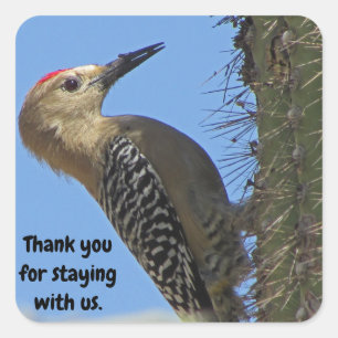Dank je wel Gila Woodpecker Foto House Guest Vierkante Sticker
