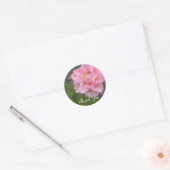 Dank je wel met tere roos ronde sticker (Envelop)