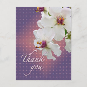 Dank je wel Moth Mullein Wildflower Briefkaart