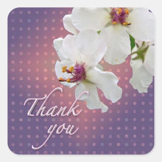 Dank je wel Moth Mullein Wildflower Vierkante Sticker (Voorkant)