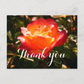 Dank je wel Rainbow Sorbet Rose #5 briefkaart (Voorkant)