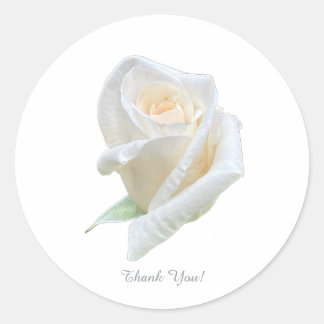 Dank je wel! ronde sticker