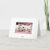 Dank je wel Sneeuwwitje Bedankkaart (Achterkant)