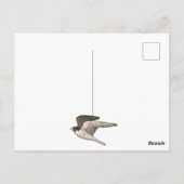 Dank je wel voor potlood met kleuren van de slecht briefkaart (Achterkant)