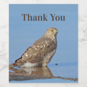 Dank je wel Young Hawk Beauful Wild Raptor Bird Wijn Etiket (Enkel label)