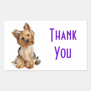 Dank je Yorkshire Terrier Puppy Honden Stickers