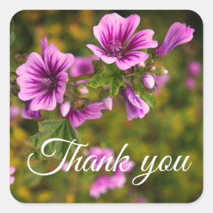 Dank je Zebra Hollyhock Flowers #2 Stickers