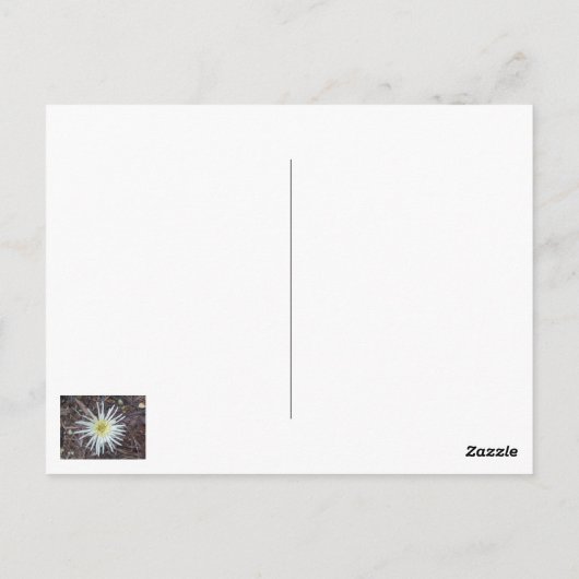 DANK JULLIE KAART (Achterkant)