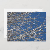 Dank Onze Leden ~ 14 van de Dienst Briefkaart (Voorkant / Achterkant)