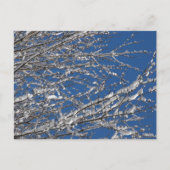 Dank Onze Leden ~ 14 van de Dienst Briefkaart (Voorkant)