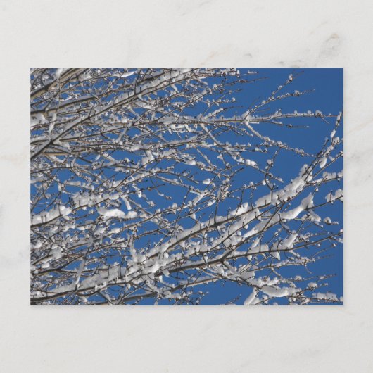 Dank Onze Leden ~ 14 van de Dienst Briefkaart (Voorkant)