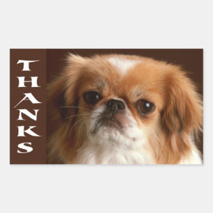 Dank Pekingees Puppies Hond Greeting Stickers