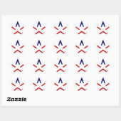 DANK TEXAS™ aSTARisk Sticker (Vel)