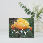 Dank U About Face Rose #2 Ansichtkaart Briefkaart (Staand voorkant)