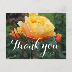 Dank U About Face Rose #2 Ansichtkaart Briefkaart