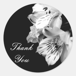 Dank u Alstroemeria Lily Sticker
