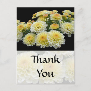 Dank u auto - Lemon Meringue Chrysanthemums Briefkaart