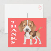Dank u Beagle Puppy Dog Greeting Post Kaart (Voorkant / Achterkant)
