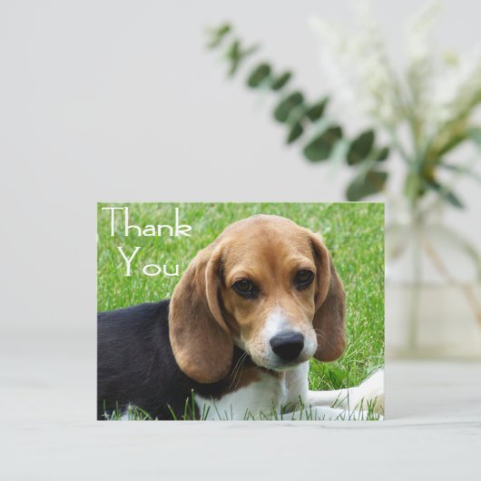 Dank u Beagle Puppy Dog Greeting Post Kaart (Staand voorkant)