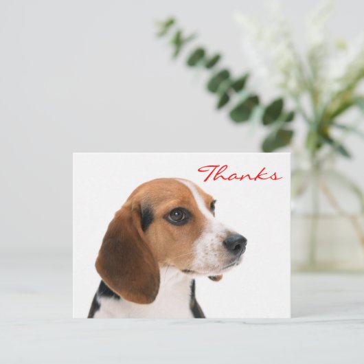 Dank u Beagle Puppy Dog Groeten Briefkaart (Staand voorkant)