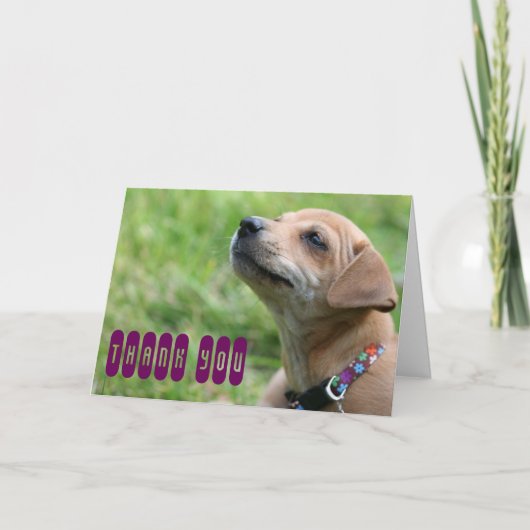 Dank u! bedankkaart (Voorkant)